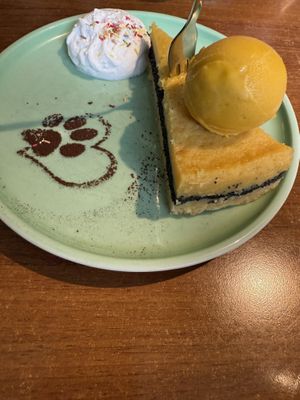   at Katzentempel - Nürnberg in Nuremberg