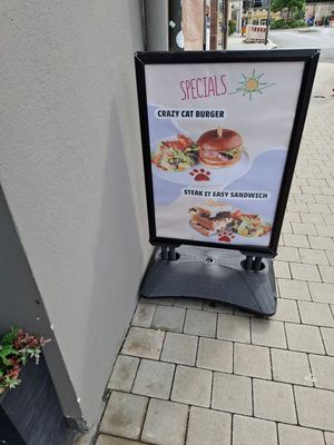  at Katzentempel - Nürnberg in Nuremberg