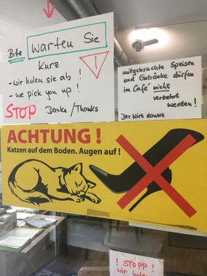 Wait in hallway for someone to let you inside.  at Katzentempel - Nürnberg in Nuremberg