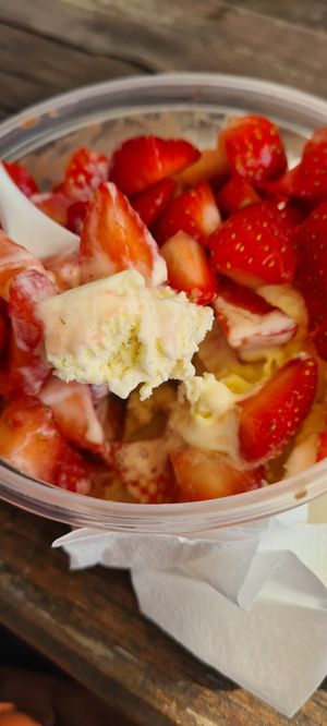 They have vegan vanille icecream now! It's super tasty. at Wingbergerhoeve IJS & Fruit in Vijlen