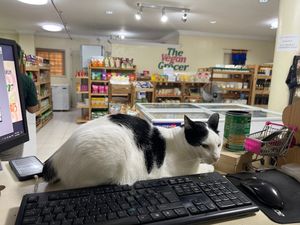  at The Vegan Grocer - San Juan in Metro Manila