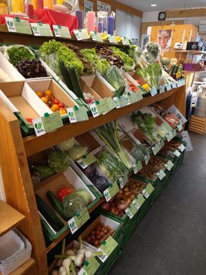 Vegetables at  Bio-Fachgeschaft s'Druegg in Zurich