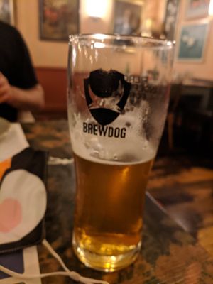 Nice punk beer 🍻 at Molo Lounge in Southend-on-sea