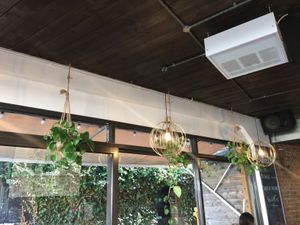 Gorgeous macrame planters & leafy window view 🍃🥰 at The Squeeze in Southend-on-sea