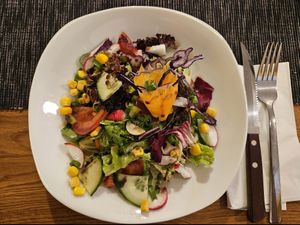  at Vins Vegan in Feistritz An Der Drau