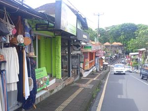  at Tulasi Vegetarian in Ubud