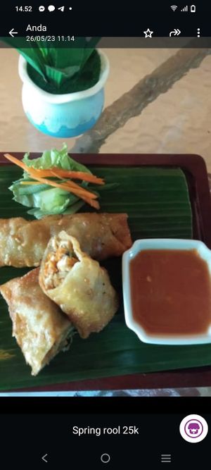 Spring rool at Tulasi Vegetarian in Ubud