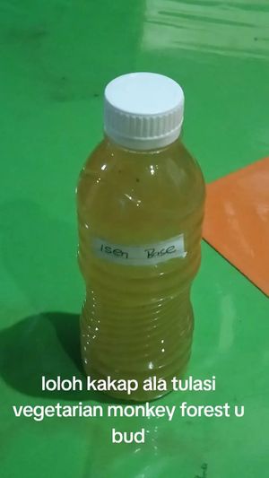 Loloh kakap(jamu betellife)  at Tulasi Vegetarian in Ubud