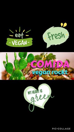 50% from the menu is vegan :) at Comida Taqueria Mexicana in Hamburg