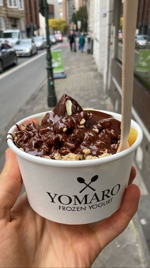 Small froyo with pineapple, strawberries, granola and dark chocolate sauce   at YOMARO in Dusseldorf