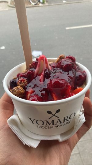 Small froyo with caramelized almonds, strawberries, red fruits   at YOMARO in Dusseldorf