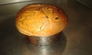 Per le feste il nostro panettone, fatto in casa e assolutamente privo di ingredienti di origine animale. at Insoljto Ristorante in Longiano
