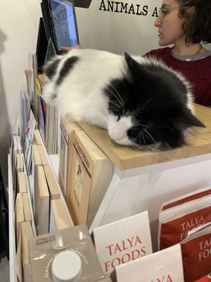 Layla  at Vegan Bakkal in Istanbul