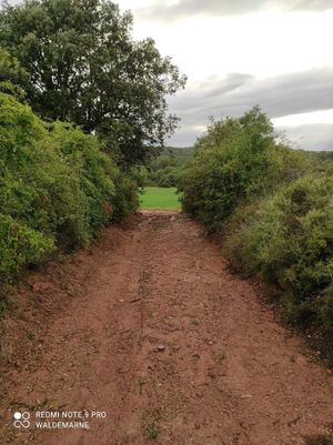 Ruta cercana para pasear. at Casa Albets in Lladurs