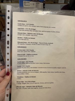 Drinks  at Casa Albets in Lladurs