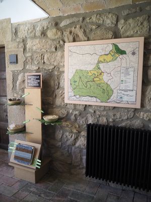 Casa Albets at Casa Albets in Lladurs