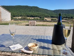 Cava and olives at Casa Albets in Lladurs