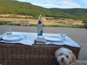 Pet friendly at Casa Albets in Lladurs