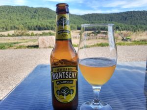 Vegan beer at Casa Albets in Lladurs