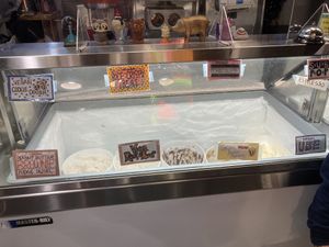 7 vegan flavors!  at Shy Giant Frozen Yogurt in Seattle