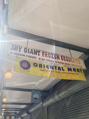 Shy Giant Signage  at Shy Giant Frozen Yogurt in Seattle