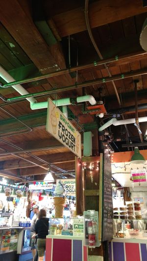 Nice Vegan Ice Cream Options!! at Shy Giant Frozen Yogurt in Seattle