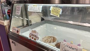 At least 4 vegan ice creams and one frozen yogurt option (chocolate)   at Shy Giant Frozen Yogurt in Seattle
