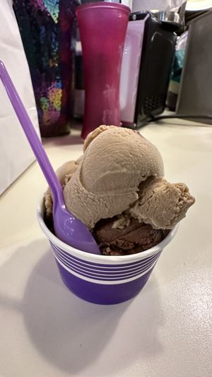 Vegan Coffee scoop on top of the Vegan Chocolate Orea  at Shy Giant Frozen Yogurt in Seattle