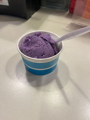 Small scoop ube   at Shy Giant Frozen Yogurt in Seattle
