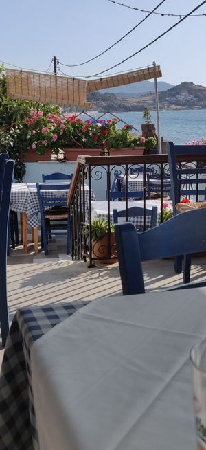 More terras. at Women's Cooperative of Petra in Lesvos