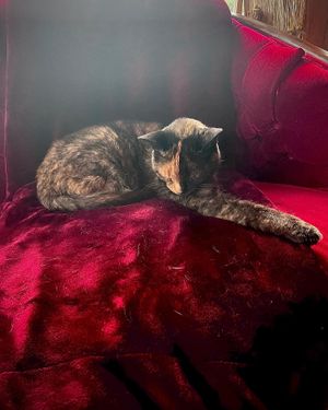   at Karlo Estates in Wellington