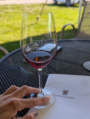  at Karlo Estates in Wellington