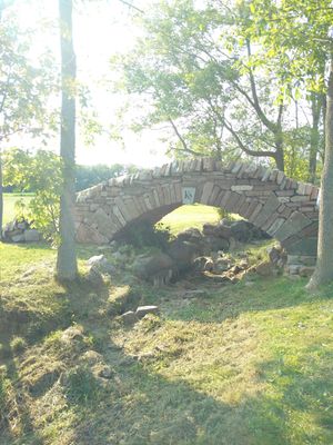 Nothing holding this together except vegan magic and physics. That bridge though, perfect place for a proposal. A must for any Canadian vegan couple for a little romance and wine.  at Karlo Estates in Wellington