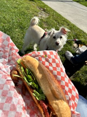 Vegan meat banh mi sandwich   at Saigon Lotus in Toronto