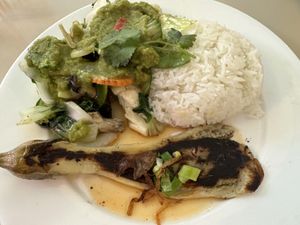 Spicy Green Curry Mixed Veggies, Tofu-Seitan & Grilled Eggplant   at Saigon Lotus in Toronto