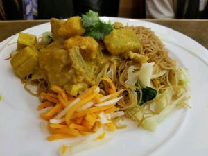 Braised tofu and assorted veggies on rice at Saigon Lotus in Toronto