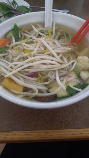 Tofu vegetable pho at Saigon Lotus in Toronto