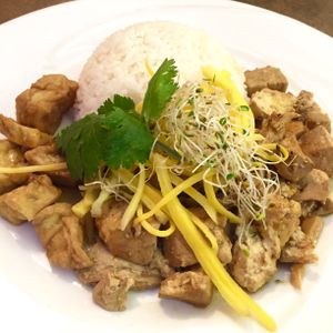 Ginger caramel vegan chicken (tofu and seitan with rice) at Saigon Lotus in Toronto
