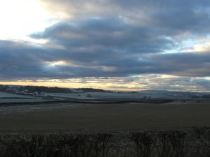 Wonderful walks at The Cosy Vegan in Dunfermline