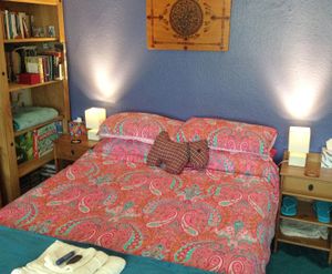 Our spacious main guestroom, which comes with a mini fridge, microwave, Sky Q, free wifi and an en-suite toilet and sink.  at The Cosy Vegan in Dunfermline