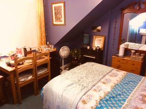 Kingdom  at The Cosy Vegan in Dunfermline