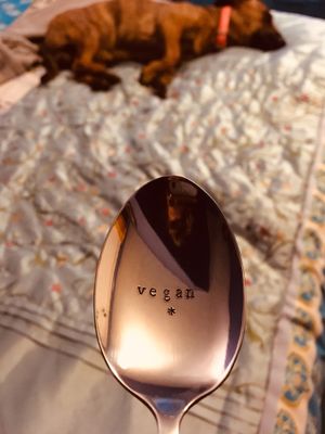 Just like that at The Cosy Vegan in Dunfermline