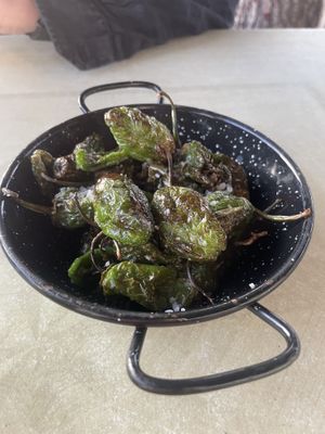 Pimientos de patron  at Bistro Can Pa in Ibiza