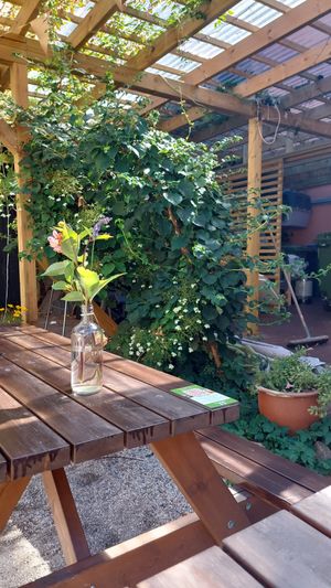  at Spiregarden in Kristiansand