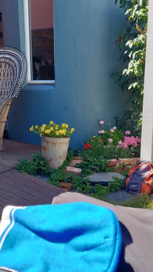  at Spiregarden in Kristiansand