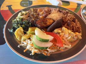 Veggie platter   at Rasta Ade Refreshments in Negril