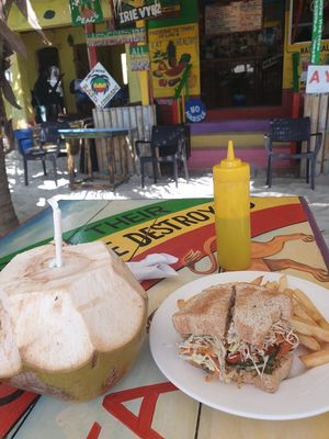 Sandwich and a Coconut at Rasta Ade Refreshments in Negril