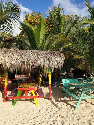 Rasta Ade at Rasta Ade Refreshments in Negril