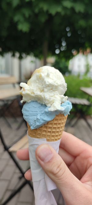 Blue coconut and cheesy orange. at NEWIN Sweetness Full of Care in Gizycko