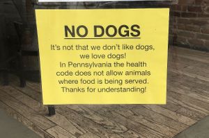   at Yorkholo Brewing Company in Mansfield